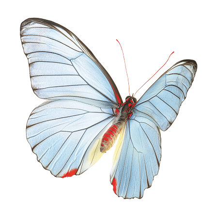 Приём репродуктолога